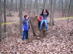 Camp Rodney