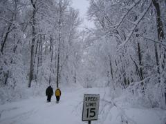 Camp Rodney