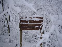 Camp Rodney