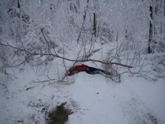 Camp Rodney