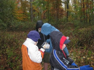 Orienteering2011